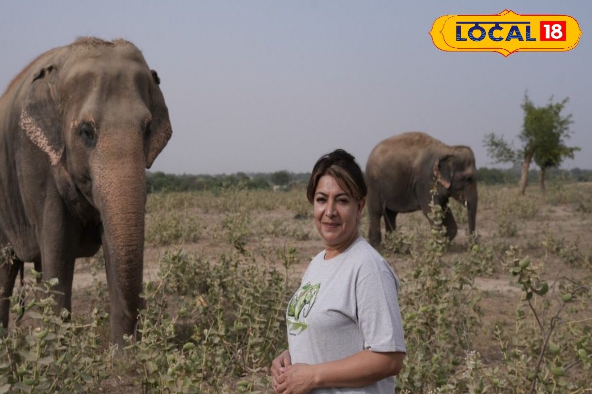 मशहूर अभिनेत्री दिव्या सेठ शाह ने हाथी और भालू के साथ गुजरा वक्त बताई कहानी!