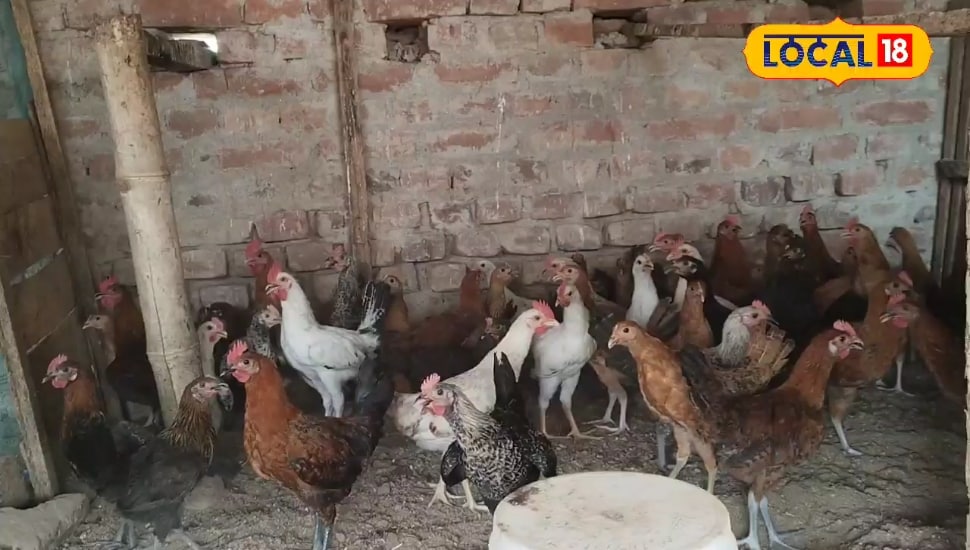 बिहार के मुख्यमंत्री के गृह प्रखंड में निशाने बाज युवा बड़े पैमाने पर कर रहे पशु और पक्षी का फार्मिंग।