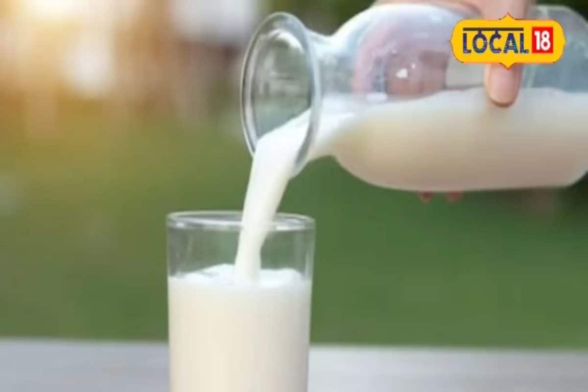 खिचड़ी के साथ दही खा सकते हैं लेकिन दूध नहीं…ऐसा क्यों? जानें इसके साइड इफेक्ट