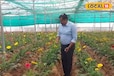 फूलों की खेती से बदल जाएगा यूपी के किसानों का जीवन, सरकार देगी 50 % तक डिस्काउंट 