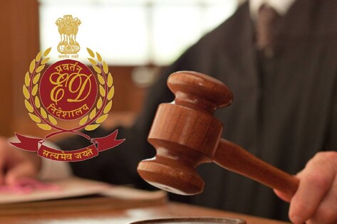 जज साहब! ED के चलते मेरी नौकरी चली गई… हाईकोर्ट में आया अनोखा मामला, बेंच ने यूं लगाई जांच एजेंसी की क्‍लास