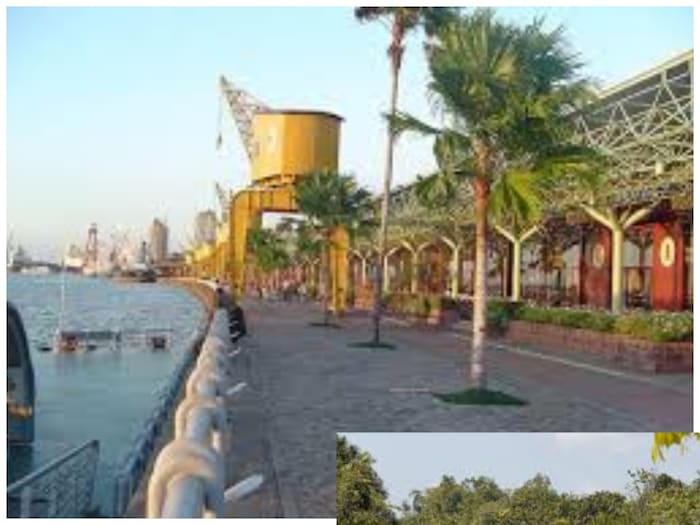 photo courtesy- Istock