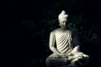 Buddha Purnima: बुद्ध के जाने के बाद क्या हुआ पत्नी-बेटे का, क्या तथागत को आती थी बेटे की याद