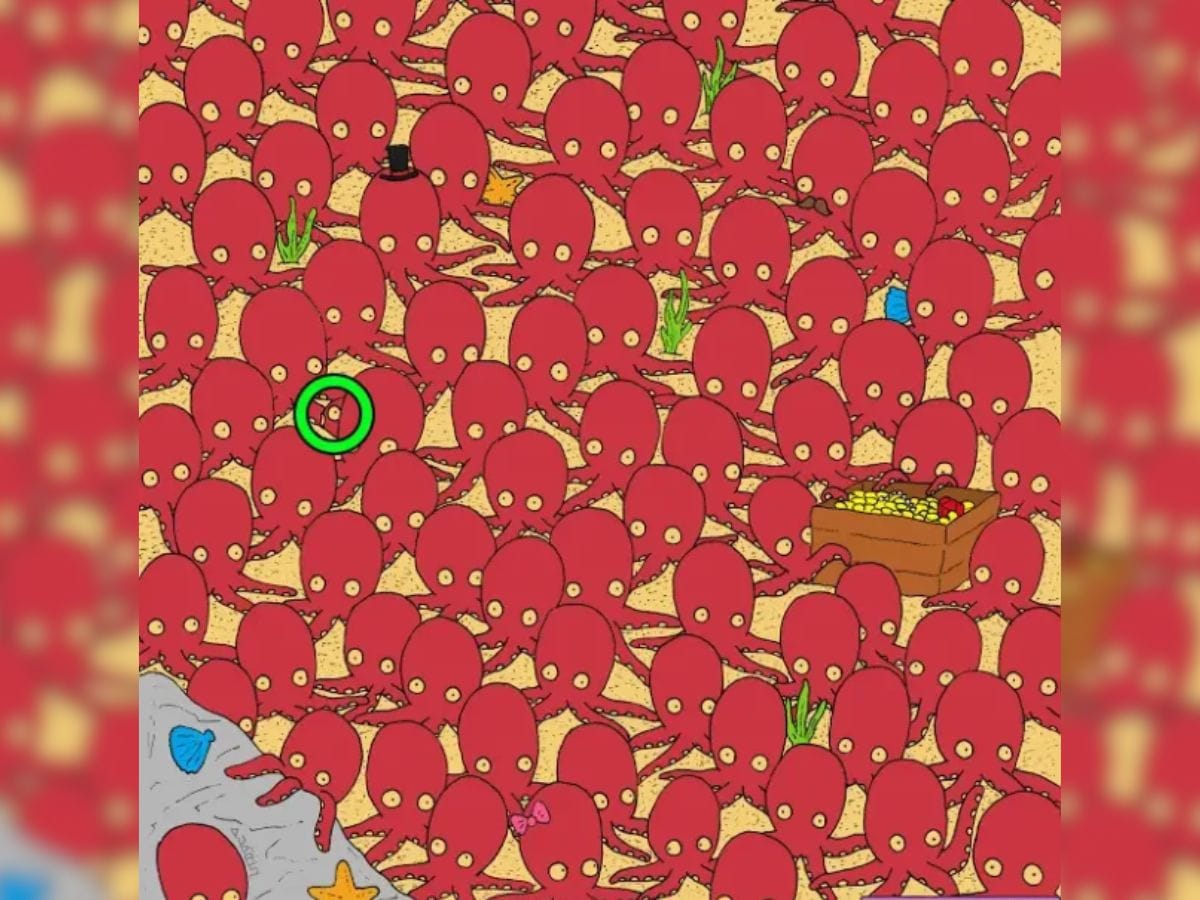 Can you spot a fish in octopi party, Can you spot a fish among octopus, spot a fish in octopi party, spot a fish in octopi party within 7 seconds, optical illusion puzzle, optical illusion