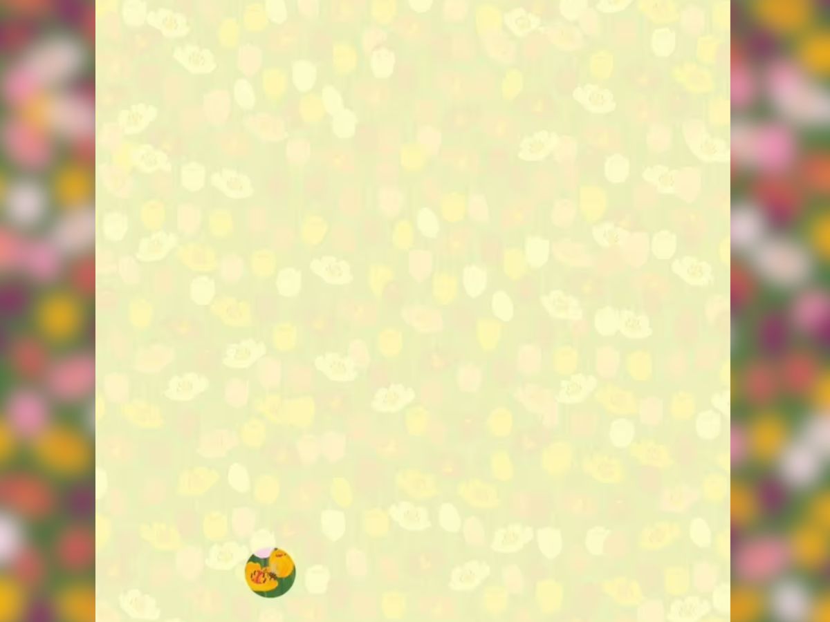 Can you find the hidden bee, find the hidden bee, find the hidden bee in under 10 seconds, find the hidden bee in the picture, optical illusion, optical illusion challenge
