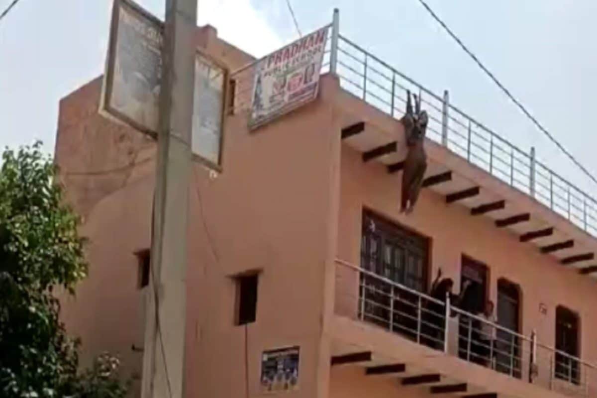 2 मंजिला इमारत छत से लटकती रही गर्भवती महिला वीडियो वायरल