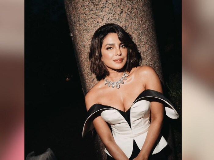 priyanka chopra short hair-2024-05-78ff0760b56f7d6000413f2b6b041c34