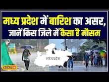 Weather Update: Madhya Pradesh के मौसम में बदलाव, जानें कहाँ-कहाँ होगी बारिश | #local18