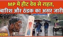 MP Weather Update: Madhya Pradesh में बारिश का असर, जानें किस जिले में कैसा है मौसम #local18