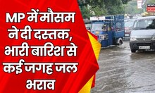 Rain News : MP में मौसम ने दी दस्तक, भारी बारिश से कई जगह जल भराव | Breaking News |  Weather Update