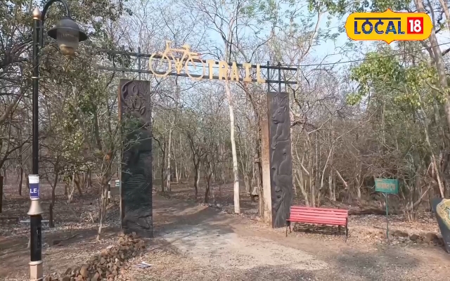 एमपी के इस जंगल में 12 KM का साइकिल ट्रैक,100 रुपये खर्च कर लें मजा