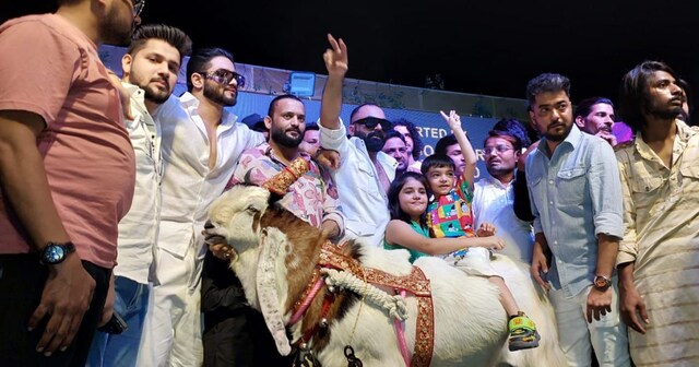Unique ramp walk in bhopal for the first time for goats