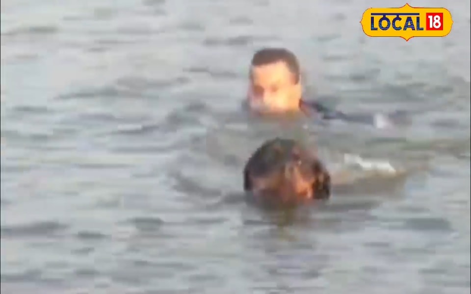 यमुना नदी में रोटविलर को दी जा रही तैराकी की ट्रेनिंग बचाएगा लोगों की जान