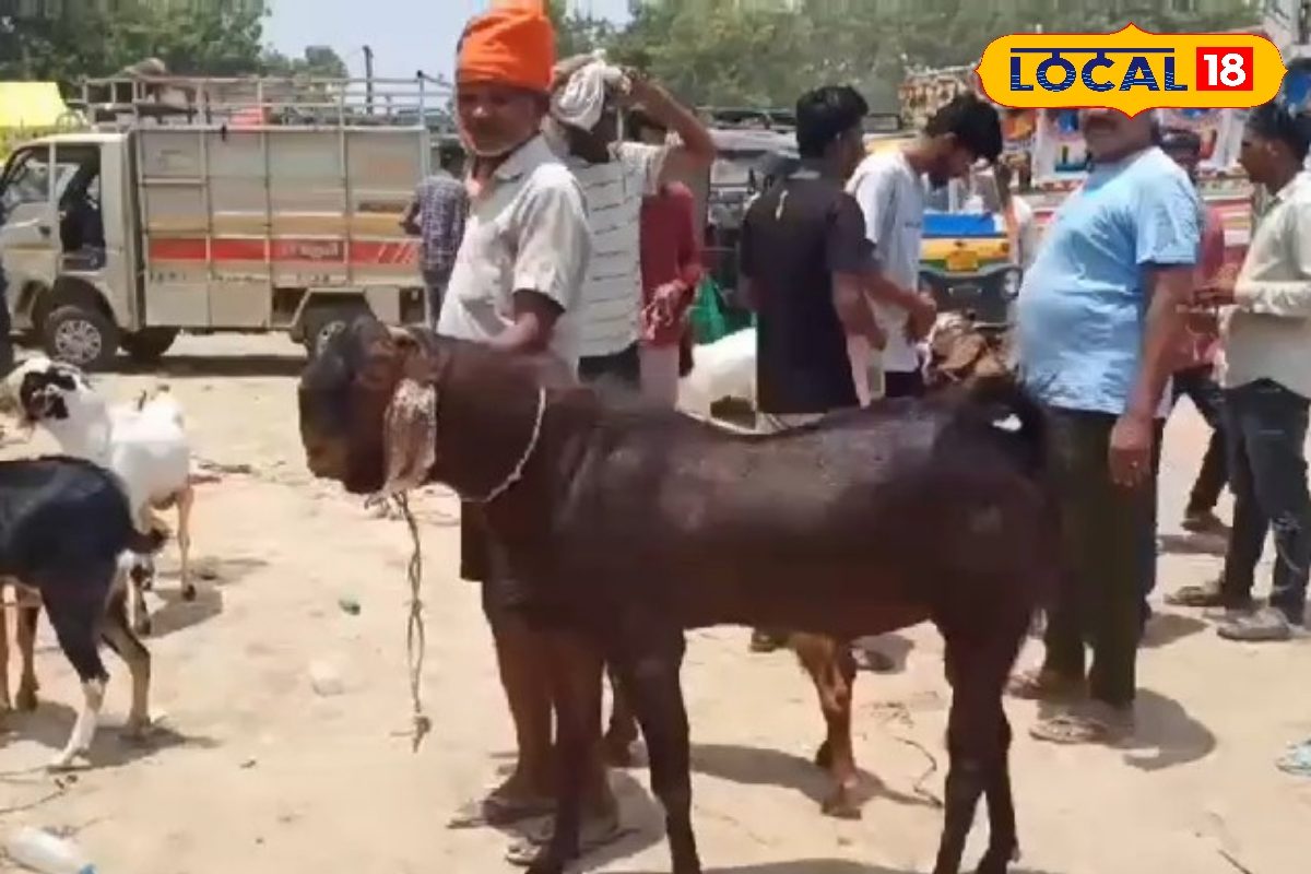 बकरीद से पहले सज गया बकरों का बाजार अयोध्या में बिका 80 हजार का बकरा
