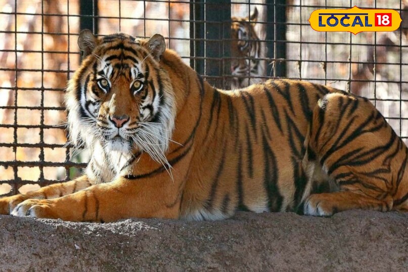 मीडिया में भी खूब हुई थी चर्चा मीडिया में भी खूब हुई थी चर्चा