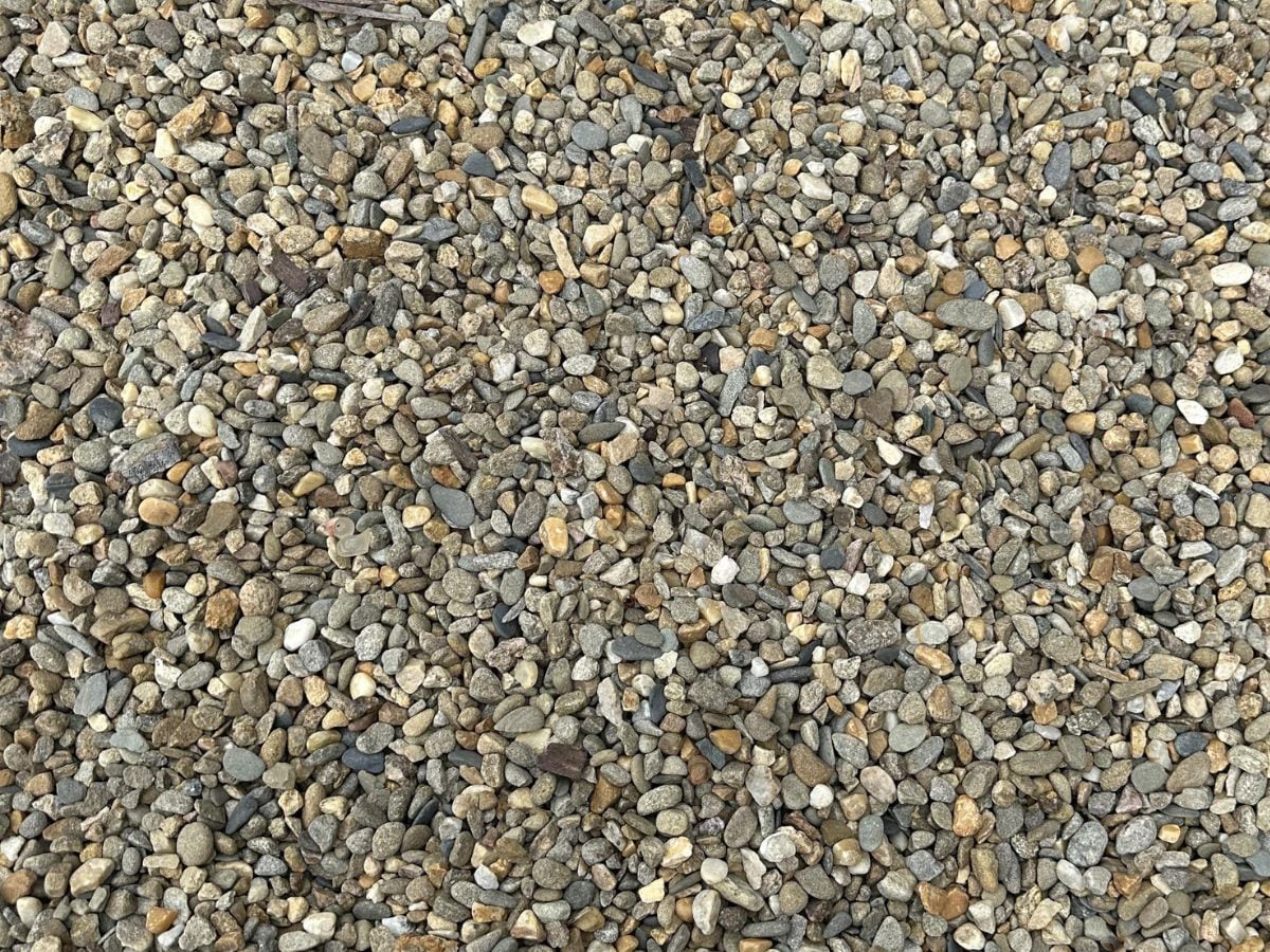 can you spot a duck, can you spot a duck lurking in pebbles, spot a duck lurking in pebbles, spot a duck within 12 seconds, optical illusion challenge