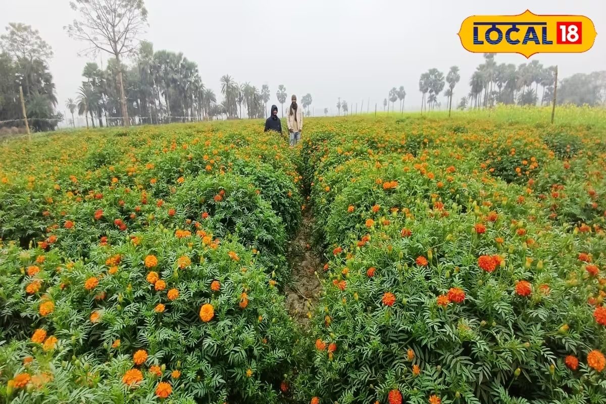 इस तरीके से करें फूलों की खेती गर्मियों में नहीं झेलना पड़ेगा नुकसान