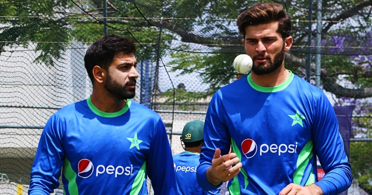 पाक गेंदबाज हारिस राऊफ के झगड़े पर PCB सख्त, अध्यक्ष फैन से बोले- माफी मांगो वर्ना एक्शन लेंगे