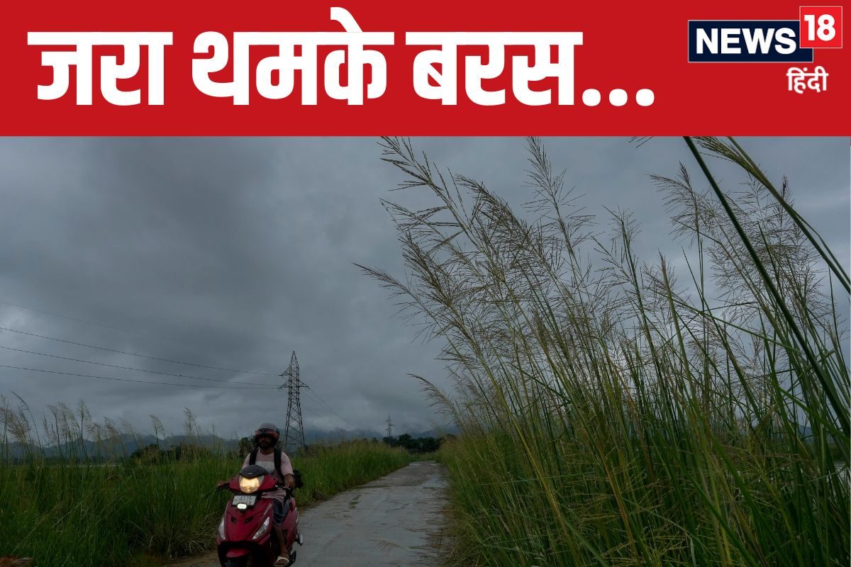 दिल्ली में गरजेंगे बादल बरसेंगे मेघ झूमकर नाचेंगे मोर बिहार में मूसलाधार