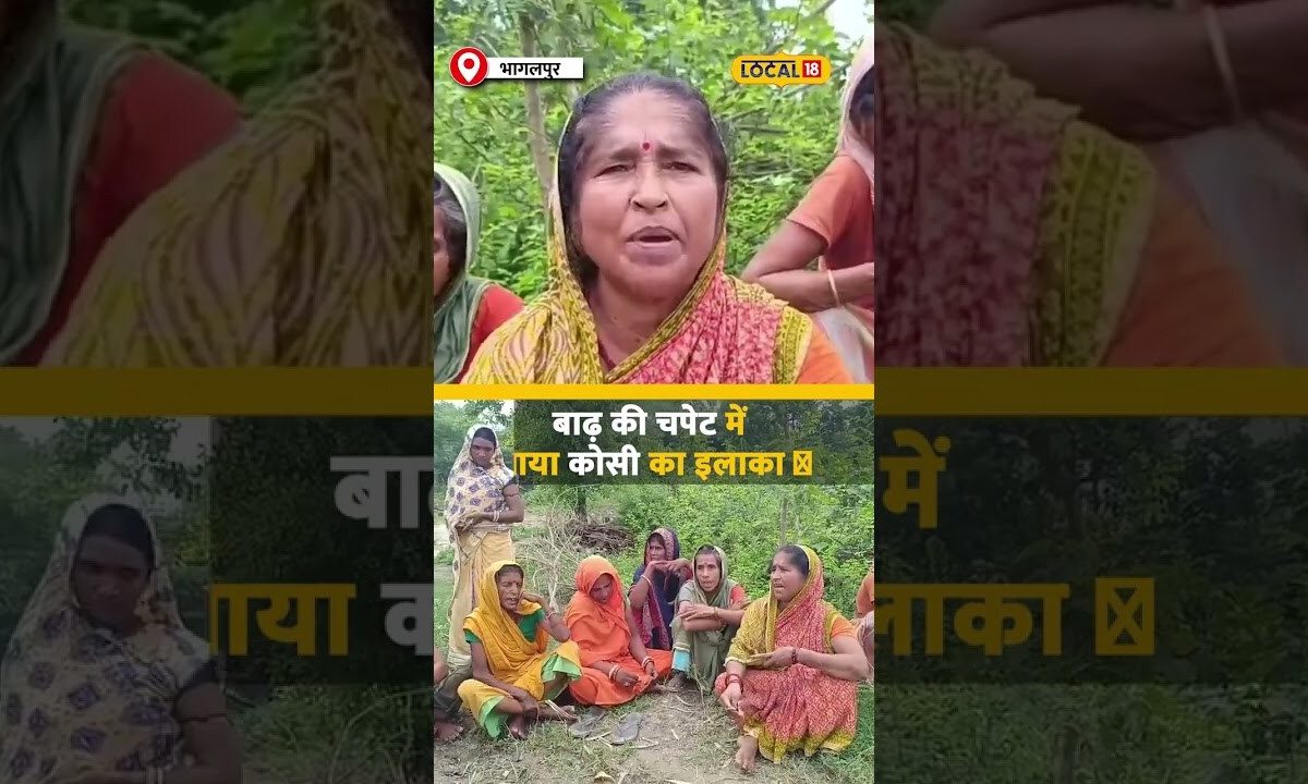 Bihar Flood: बाढ़ की चपेट में कोसी का इलाका , ग्रामीणों ने क्यों उजाड़ा अपना आशियाना? #local18shorts