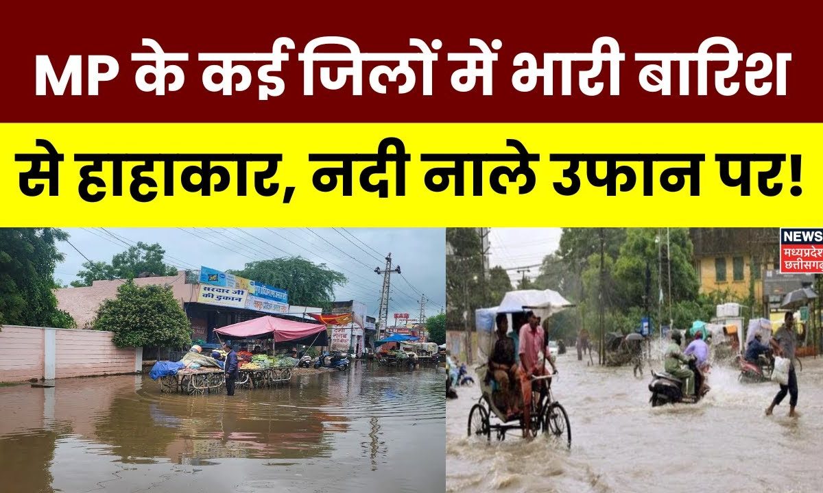 Rain News : MP के कई जिलों में भारी बारिश से हाहाकार, नदी नाले उफान पर ...