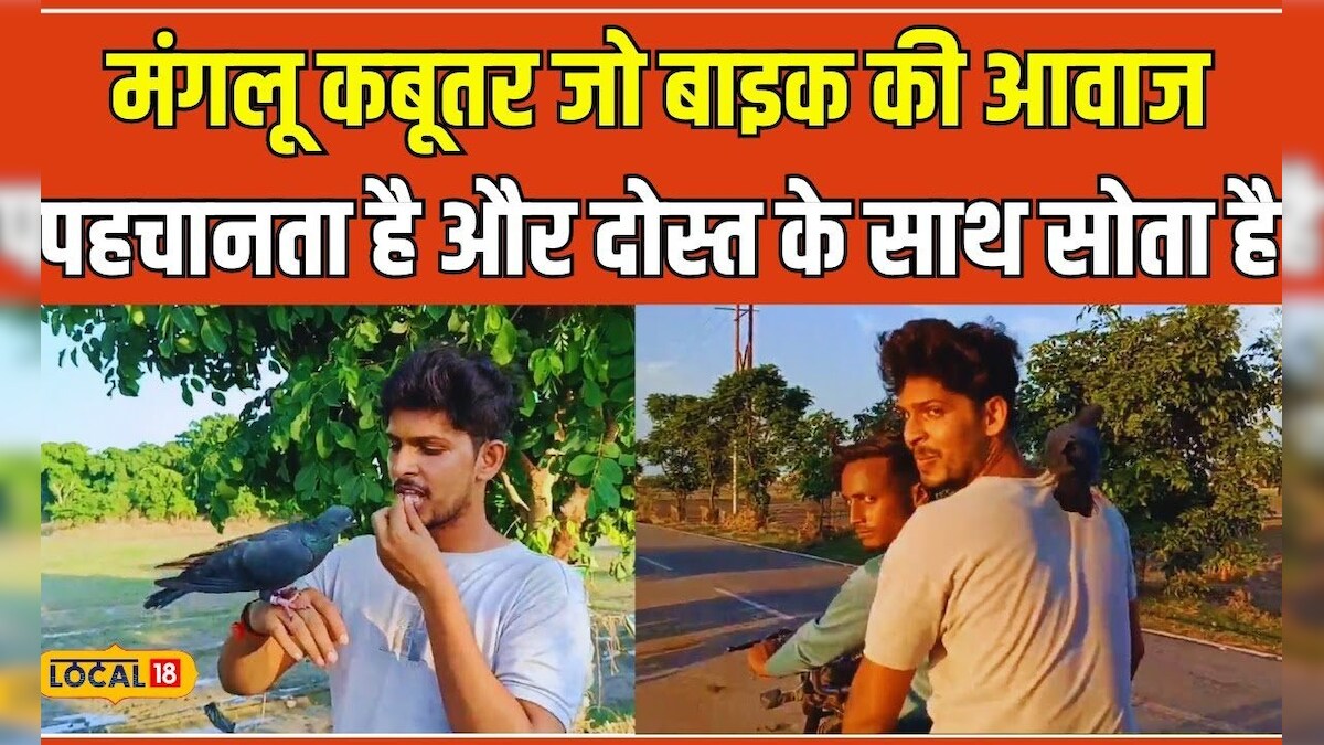 Unique Friendship: प्यारे कबूतर मगलू और उसके दोस्त रचित की दिल को छू