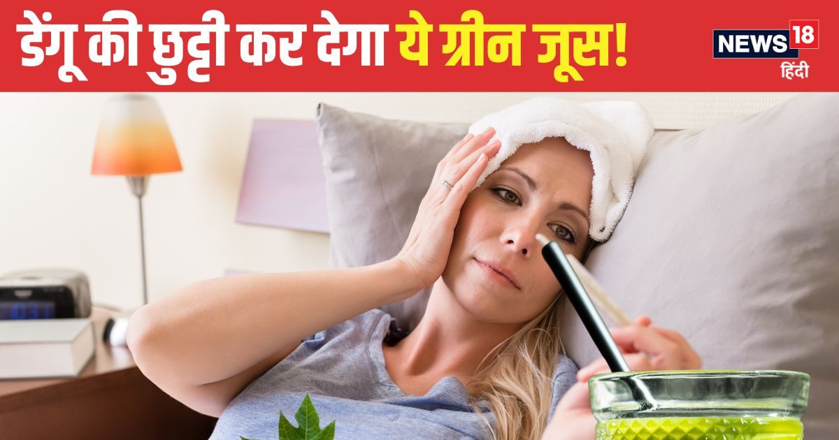 डेंगू में पी लें इस हरे पत्ते का जूस, तेजी से बढ़ेंगी प्लेटलेट्स..! कमजोरी भी होगी दूर, जानें 6 और बड़े फायदे