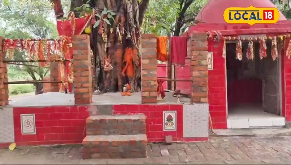 इस मंदिर के पेड़ पर विराजमान हैं हनुमान जी पूरी करते हैं हर मन्नत