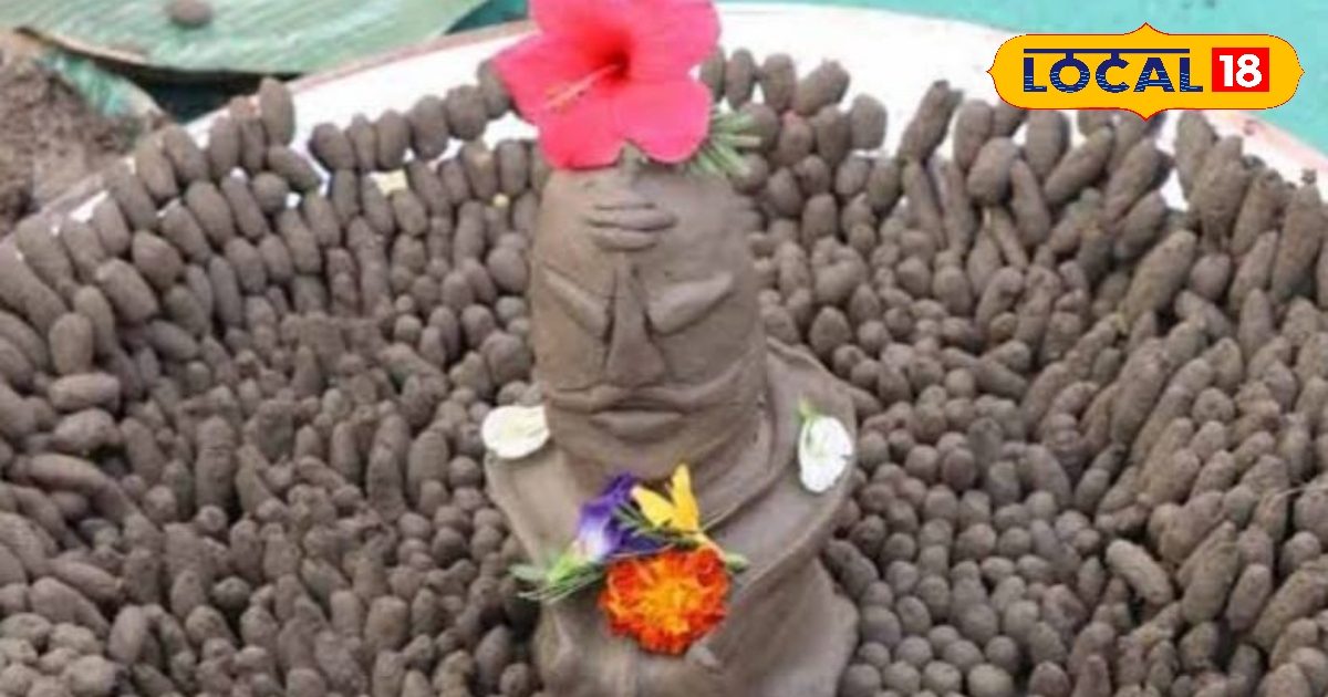 यूपी के इस जिले में किया गया 11 हजार शिवलिंग का रुद्राभिषक, काशी से आए ब्राह्मण