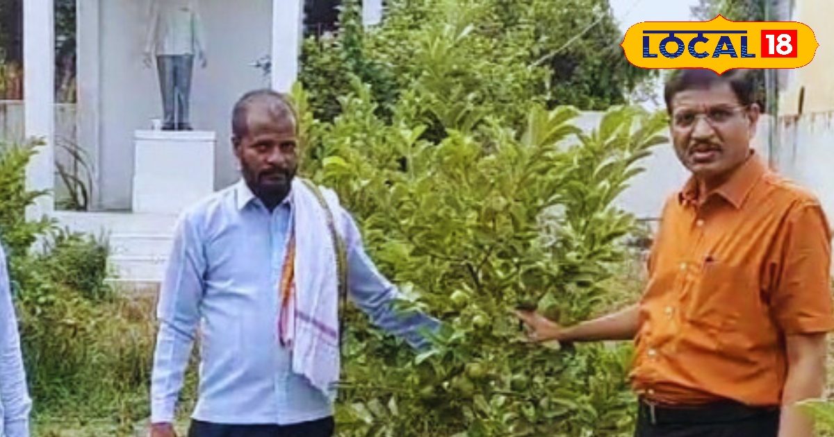 किसान ने शुरू की इस खास फल की खेती, बदल गई तकदीर! लाखों में हो रही कमाई, बन गया मालामाल