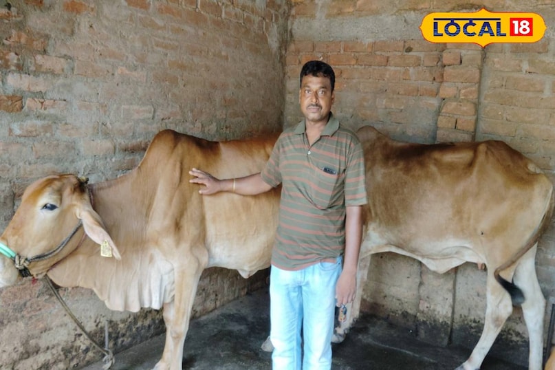 गौ पालन