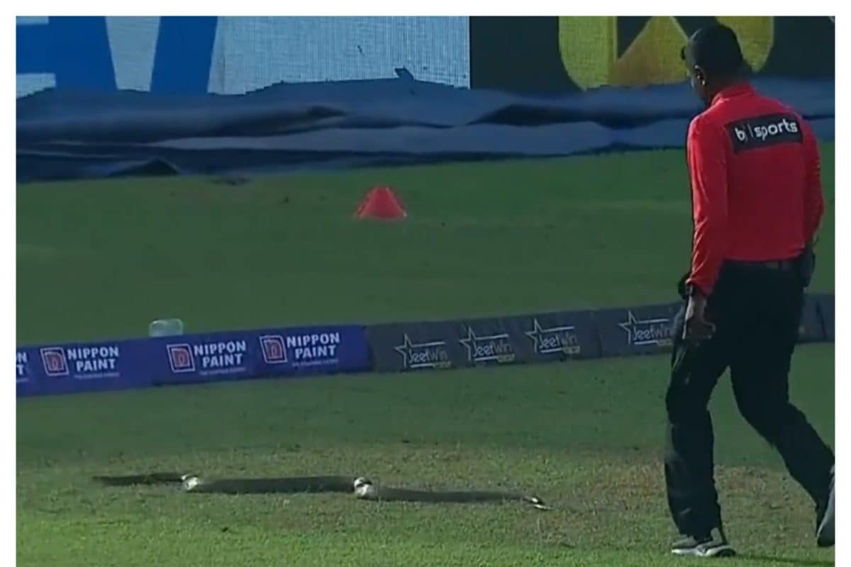 VIDEO: जब सांप ने रोका भारत का मैच, फिर हुआ कुछ ऐसा कि थम गई सांसें...