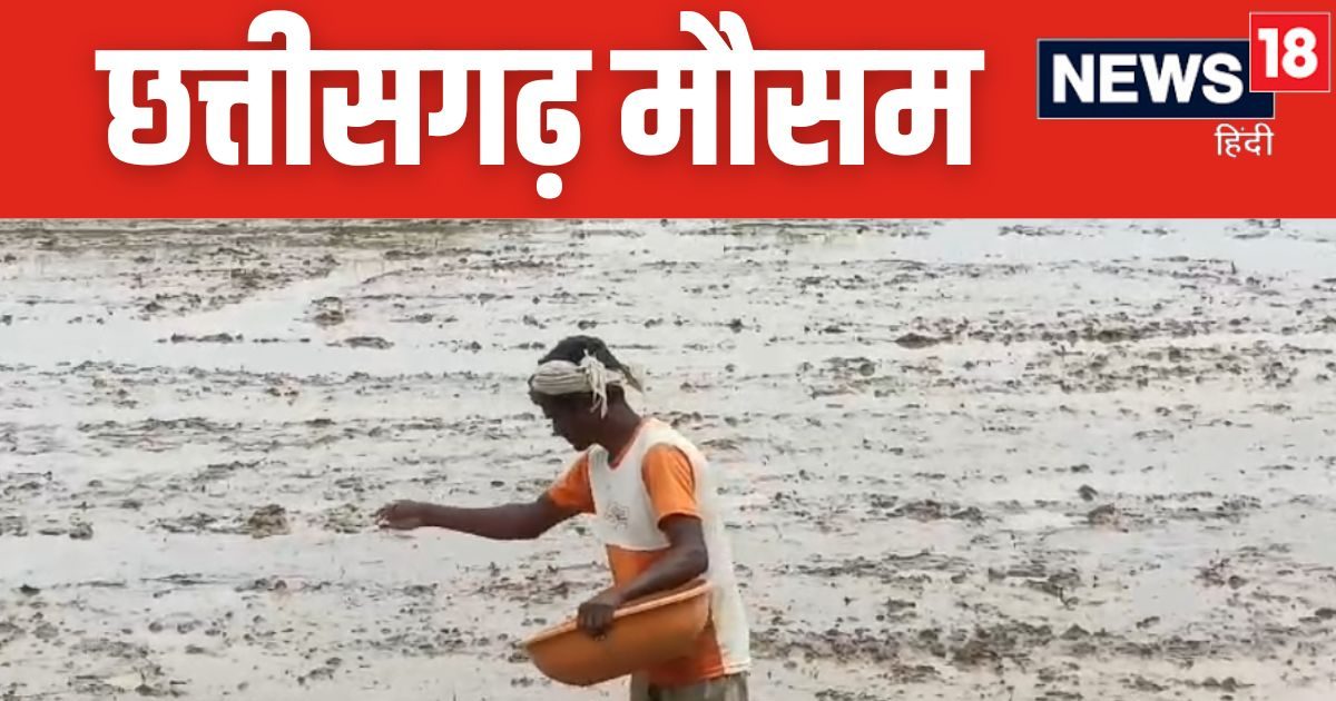 छत्तीसगढ़ का मौसम: बगीचे की सुंदरता में आकर्षण, आज इन सजावटी सामान में बदलाव