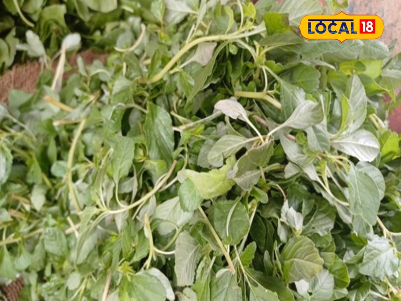 Mathi Green benefits of red and green chaulai sag Amaranth Greens Iron-calcium is ...