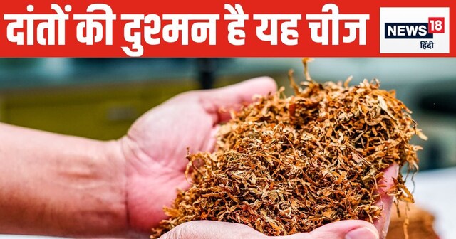 जवानी में ही टूटकर गिर जाएंगे दांत, अगर रोज चबाएंगे यह गंदी चीज ! इम्यूनिटी  होगी वीक, कैंसर का बढ़ेगा खतरा