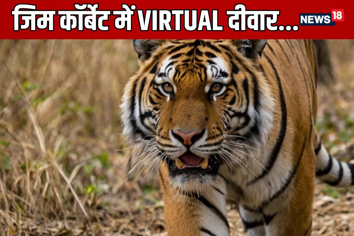 जंगल में Virtual दीवार, जैसे ही जानवर करेगा पार, मोबाइल पर आ जाएगा अलर्ट