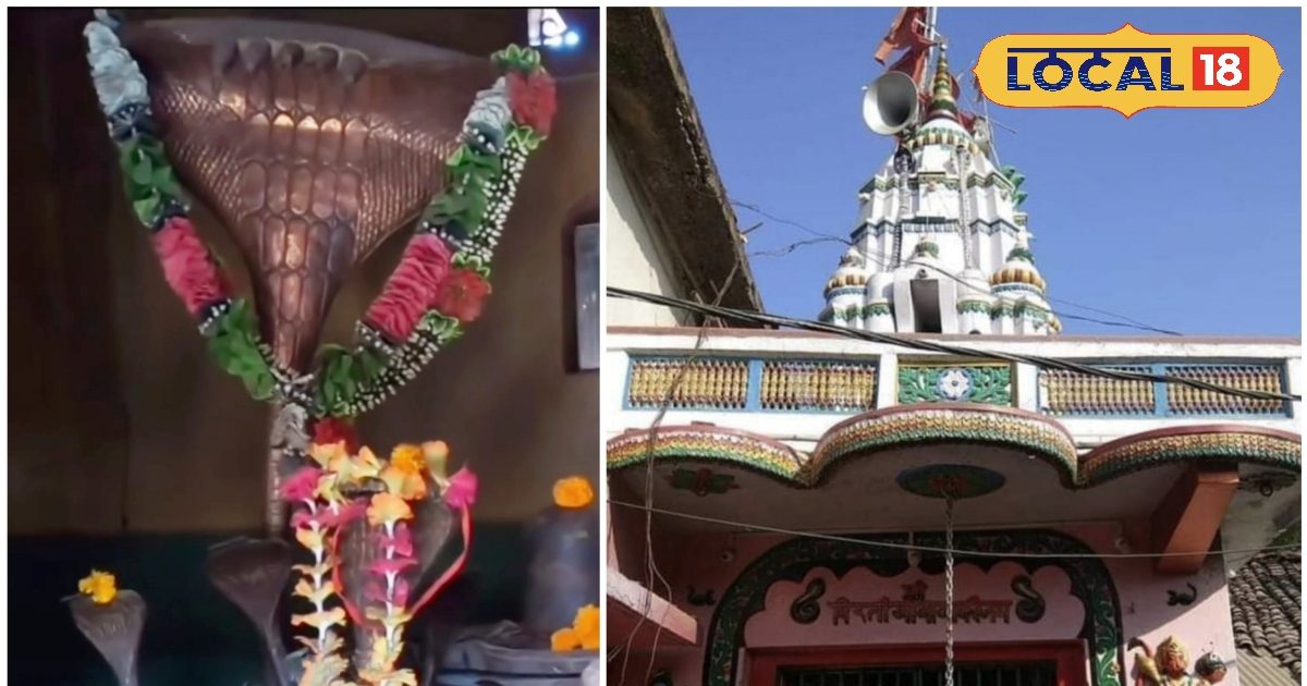 अजब मंदिर की गजब कहानी, जहां मिट्टी खाने से उतरता है सांप का जहर