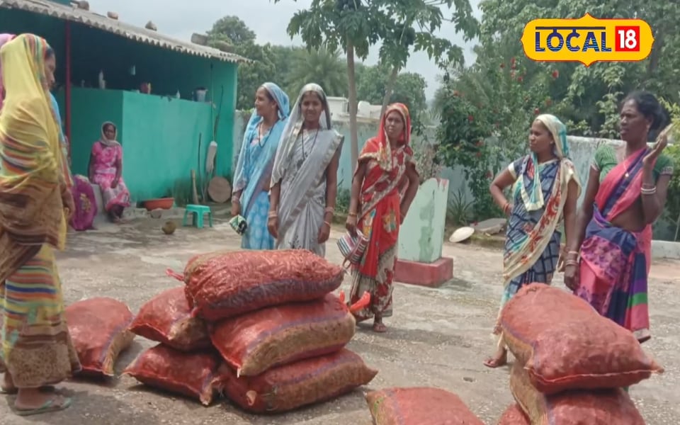 हल्दी की खेती कर खुद किस्मत चमका युवा महिलाएं, आर्थिक स्थिति हो रही मजबूत