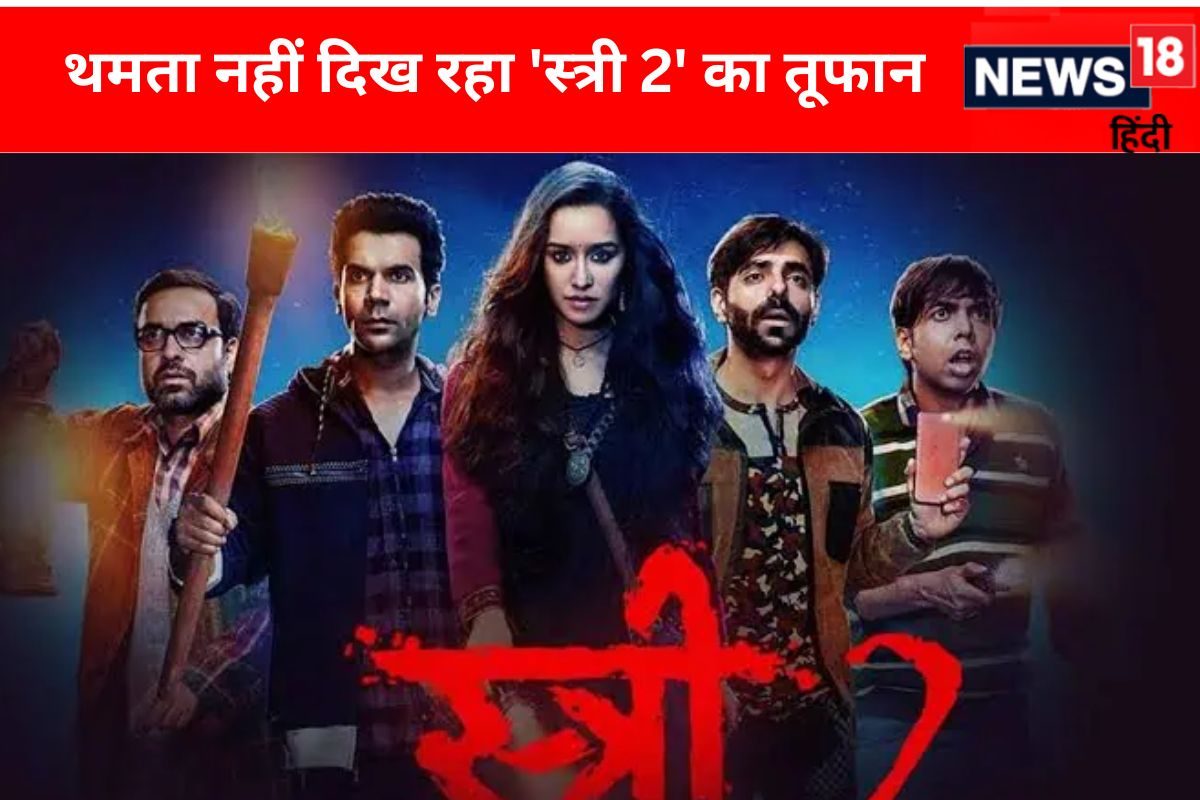 Stree 2 Box Office Collection Day 6: 50 करोड़ी 'स्त्री 2' 250 करोड़ पार
