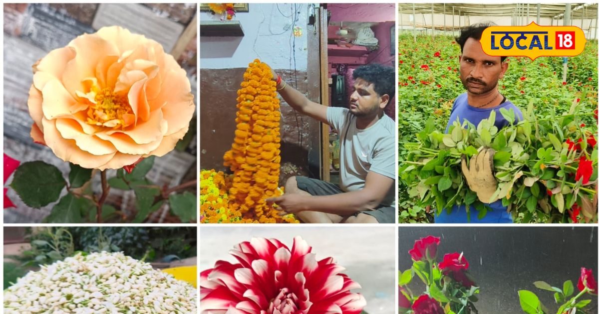 1000 रुपये में शुरू करें यह काम, मार्केट में है खूब डिमांड, घर बैठे ...