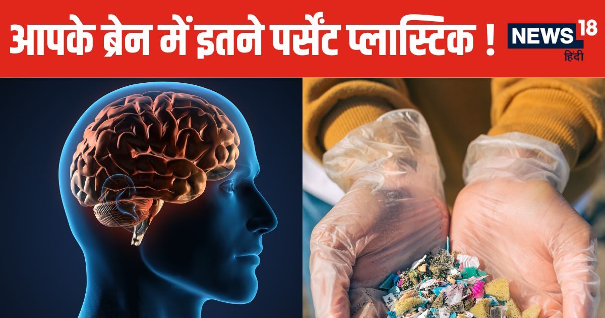आपके ब्रेन में जमा हो रही प्लास्टिक ! लिवर-किडनी से कई गुना ज्यादा, नई स्टडी में खुलासा