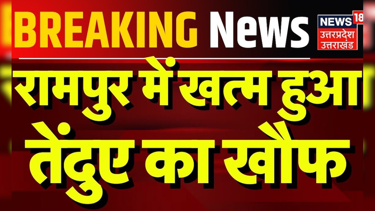 Rampur News: रामपुर में खत्म हुआ तेंदुए का खौफ | Viral Video | Leopard | Hindi News | Breaking – News18 हिंदी