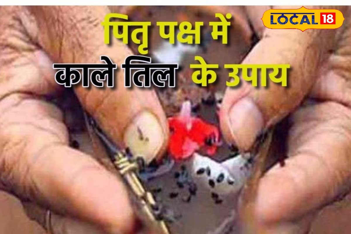 पितृपक्ष में कर लें बस ये काम सात पीढ़ियां रहेंगी खुश खूब बरसेगा धन!
