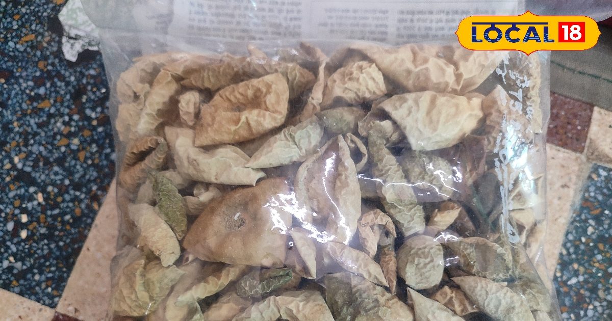 After drying of this green vegetable, its price increases 200 times and