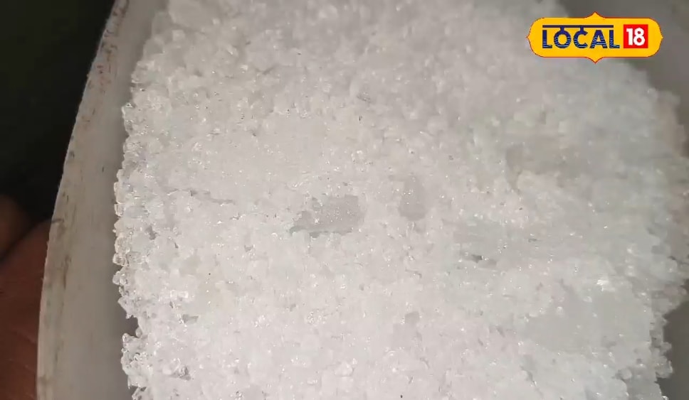 चमत्कारी औषधि से कम नहीं है कमली शोरा, इन बीमारियों में है बेहद असरदार, एक्सपर्ट से जानें उपयोग का तरीका चमत्कारी औषधि से कम नहीं है कमली शोरा, इन बीमारियों में है बेहद असरदार, एक्सपर्ट से जानें उपयोग का तरीका