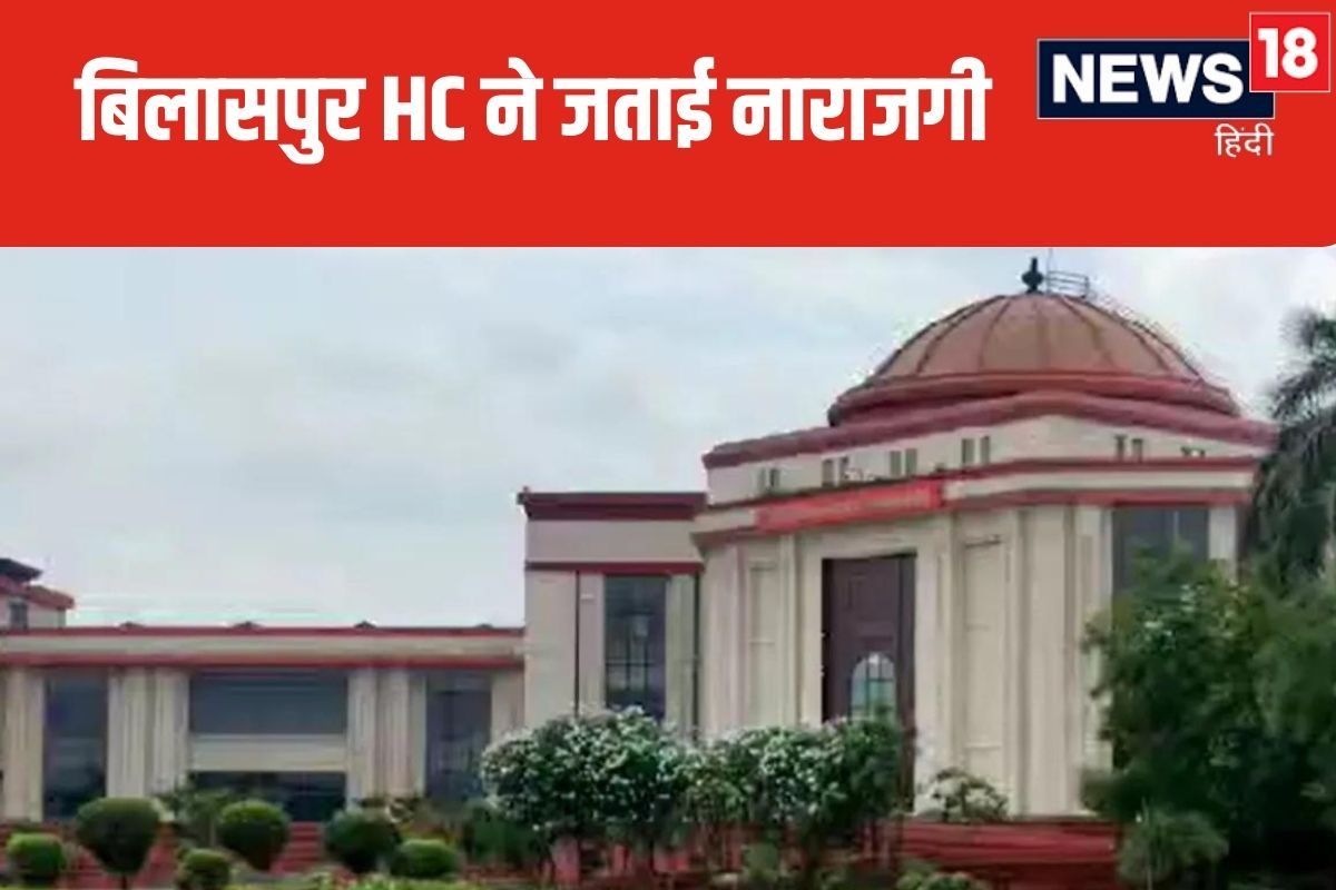 छत्तीसगढ़ में हो रही हाथियों-भालुओं की मौत, क्या है इसकी वजह, हाईकोर्ट सख्त