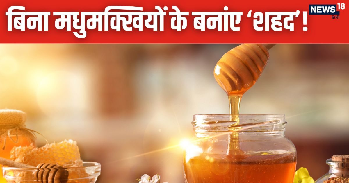 किचन की 3 चीजों से बना सकते हैं शहद, मधु बनाने का ये तरीका नहीं जानते