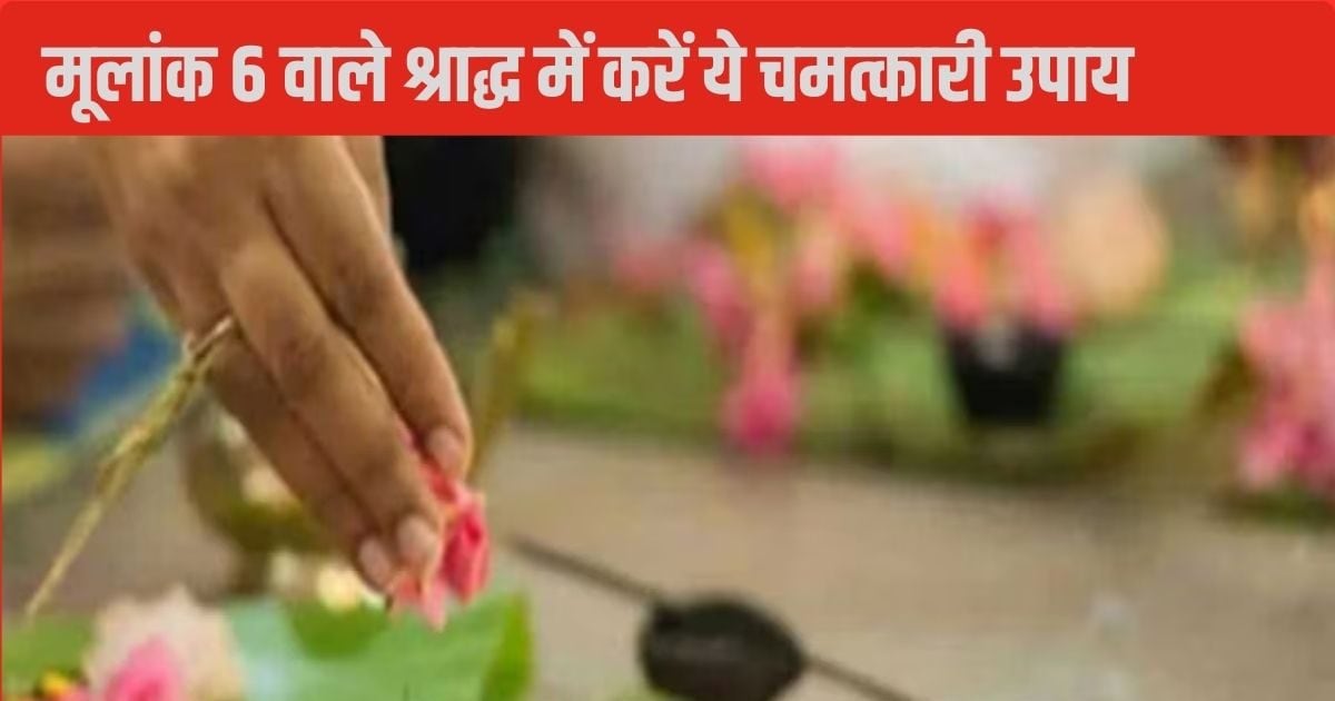 Pitru Paksha 2024: षष्ठी श्राद्ध आज, मूलांक 6 वाले पा सकते पितृ और कालसर्प दोष के साथ कष्टों से मुक्ति, जानें उपाय