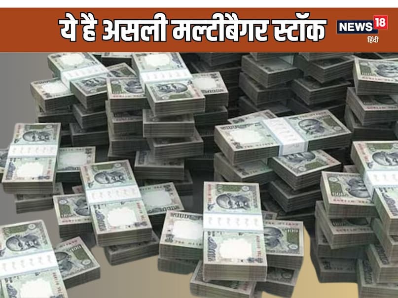 Multibagger Stocks, Best Multibagger Stocks 2024, Multibagger Stock Tips, High Return Stocks 2024, Stock Market, Multibagger Share, Stock Market, Stock Market 