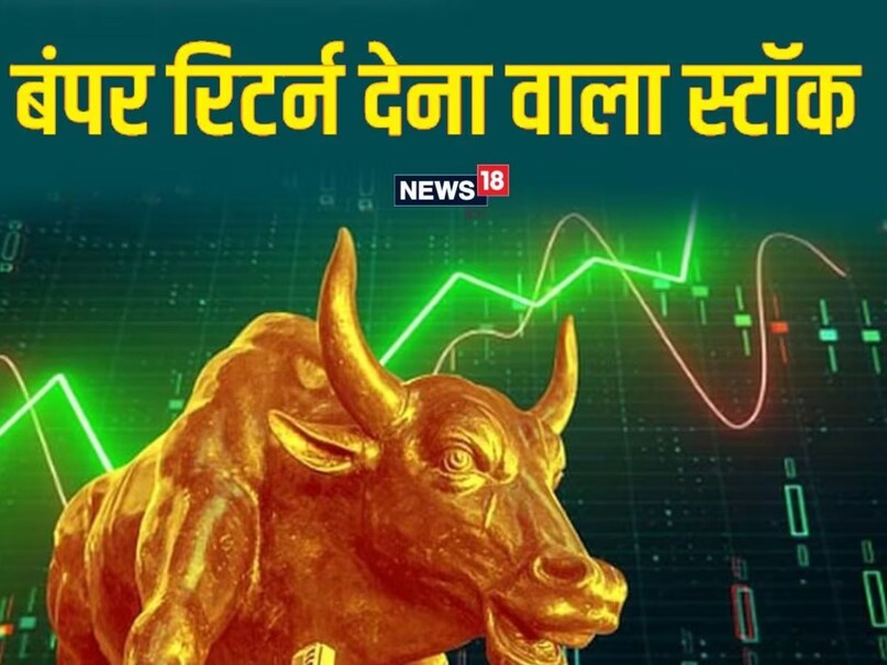 Multibagger Stocks, Best Multibagger Stocks 2024, Multibagger Stock Tips, High Return Stocks 2024, Stock Market, Multibagger Share, Stock Market, Stock Market 